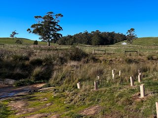 Benefits of On-farm Shelterbelts-BANNERS-Land-2023-04