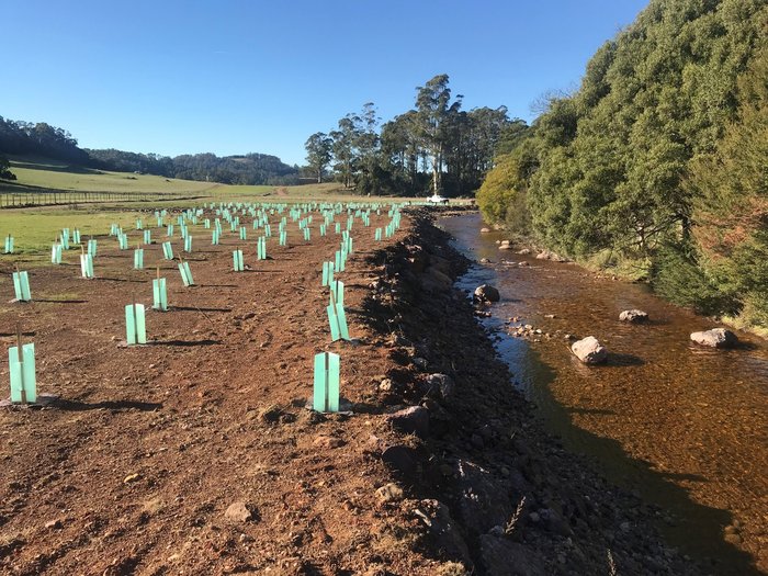 Dasher River nature-based solutions ALRS