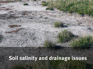 EVENT Soil Acidity-Salinity MAIN PAGE-05