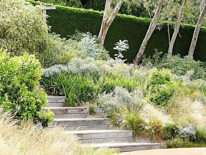 Formal garden with natives poa and lomandra - website homestolove 700x525.jpg