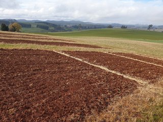 Hillslope erosion site