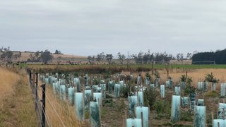 IMG_3267