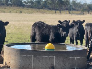 IMG_3398