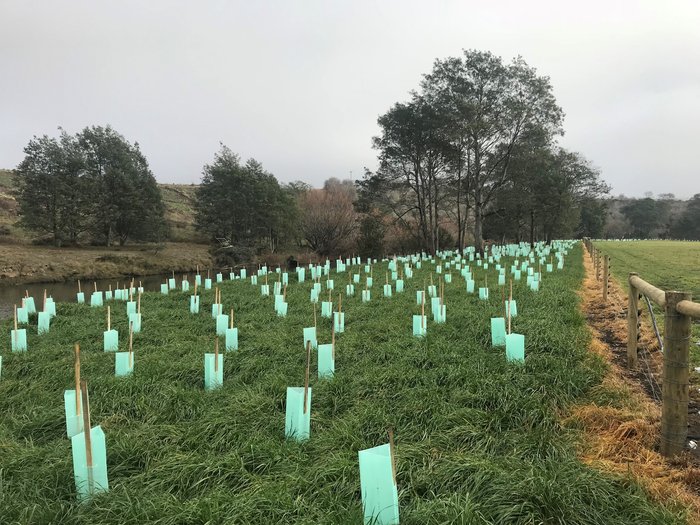 Meander River nature-based solution ALRS