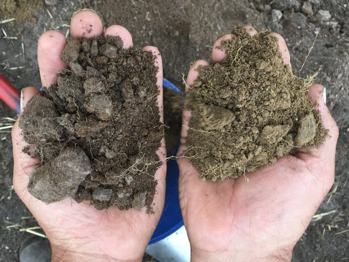 Soil samples in hands