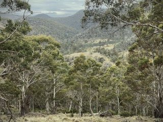 NatCap 2_300x400