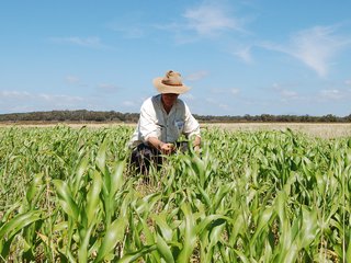 Peter Heading inspects the pasture