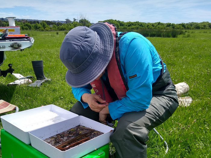 field surveys waterbugs carryn oct24 1400x1050